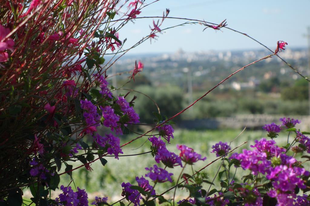 לוקורוטונדו Masseria Serralta מראה חיצוני תמונה